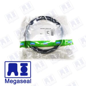 Oil Seal 160 x 185 x 15 HMSA10 RG SKF